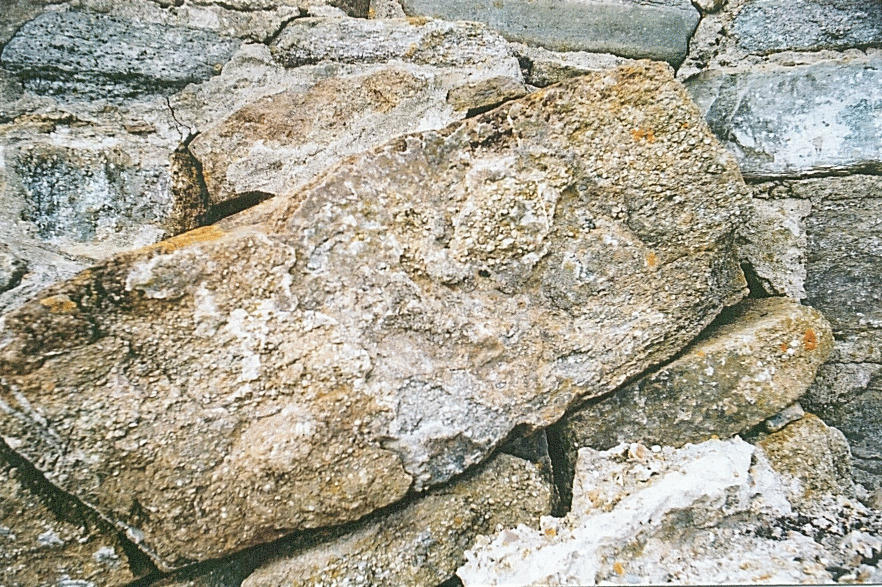 Blue Purbeck Marble at Peveril Point