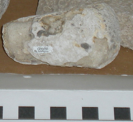 (Pestle on its side showing museum mark)