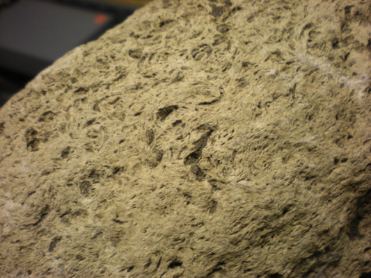 (Sunter's Norden Burr mortar 2, closer detail)